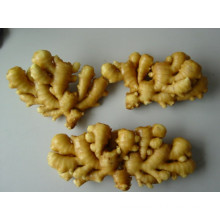 2015 New Crop China Fresh Ginger/Globalgap Certified Ginger